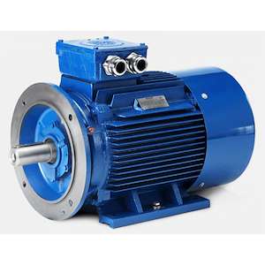 گرند موتور ( معصومی ) وارد کننده الکتروموتور هویر Hoyer